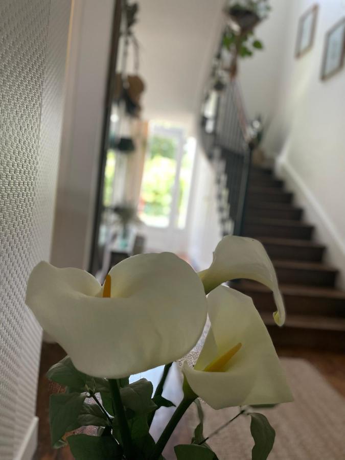 Villa Des Roses Pontmain Екстер'єр фото